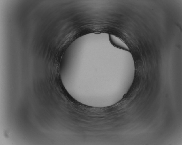 X0000091670044200709201228