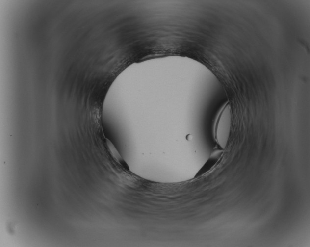 X0000091670045200709201228