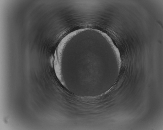 X0000091670047200709201228