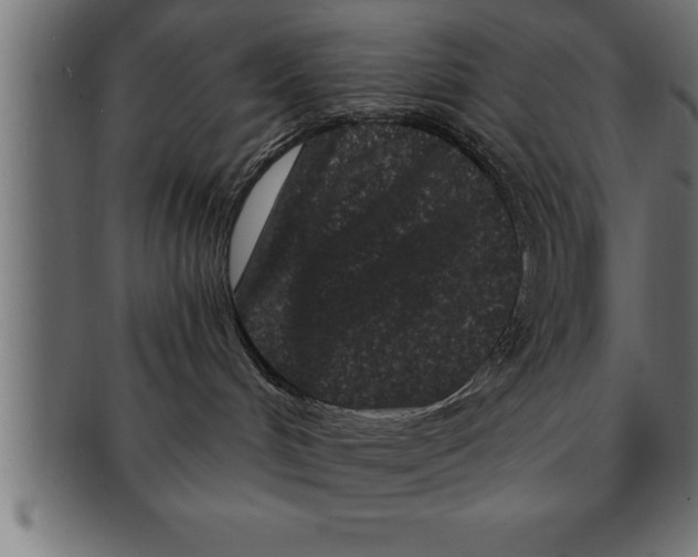 X0000091670048200709201228