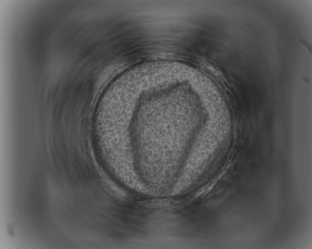 X0000091670049200709201227