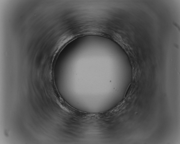 X0000091670050200709201227