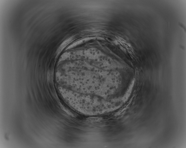 X0000091670051200709201227