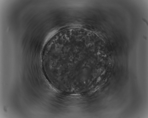 X0000091670053200709201227