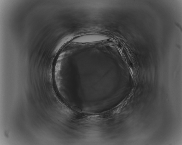 X0000091670054200709201227