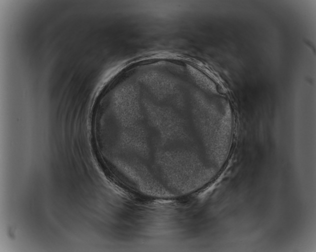 X0000091670055200709201227