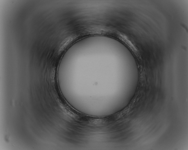 X0000091670058200709201227