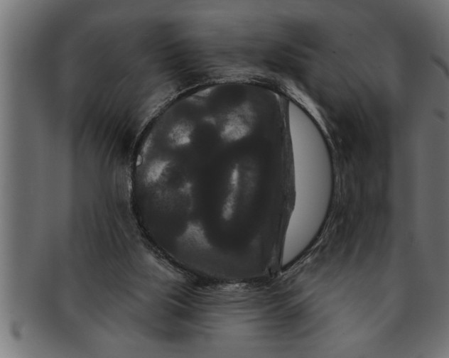 X0000091670059200709201227