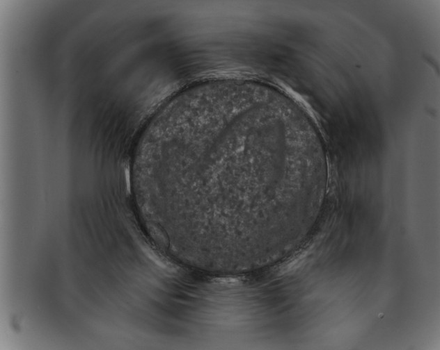 X0000091670061200709201227