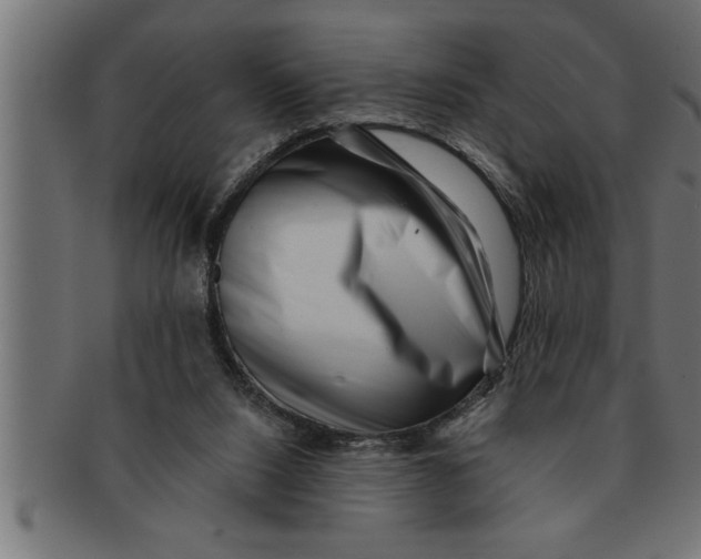 X0000091670064200709201227