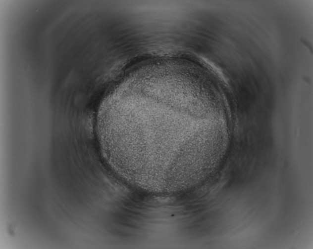 X0000091670065200709201227