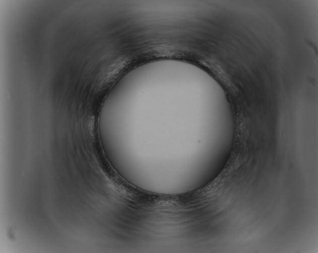 X0000091670066200709201227