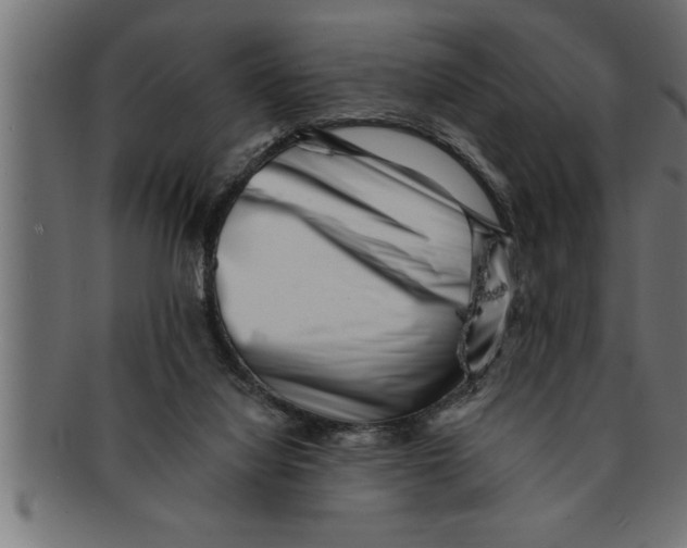 X0000091670068200709201227