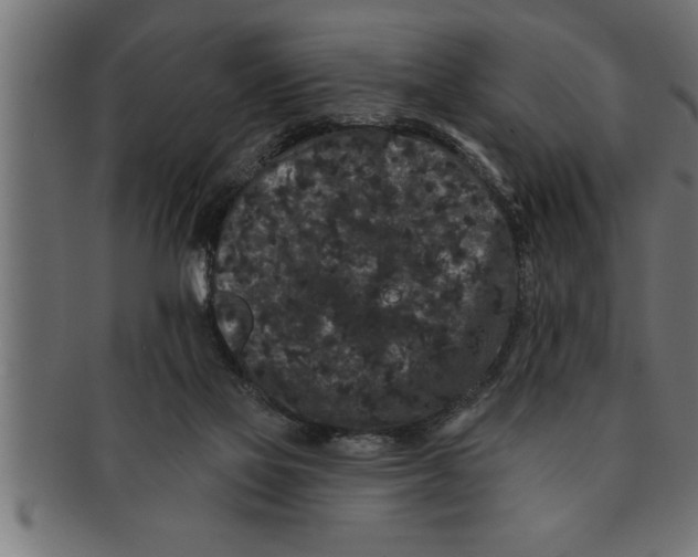 X0000091670069200709201227