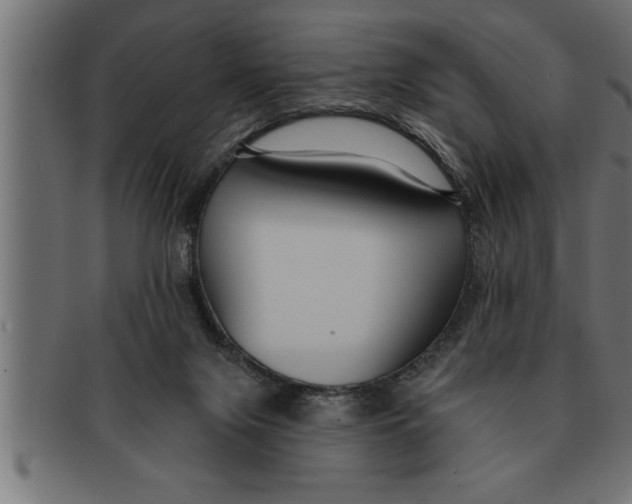 X0000091670071200709201227