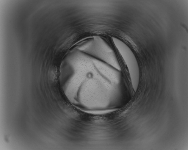 X0000091670073200709201227