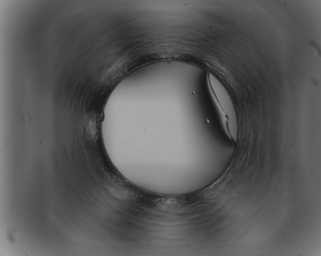 X0000091670074200709201227