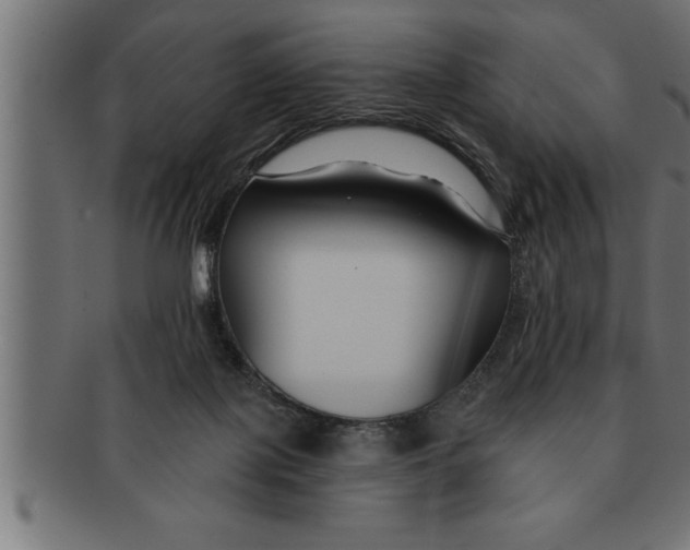 X0000091670075200709201227