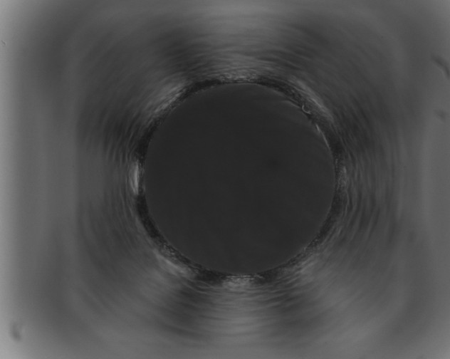 X0000091670076200709201227