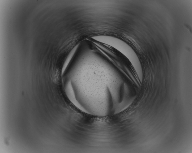 X0000091670077200709201227