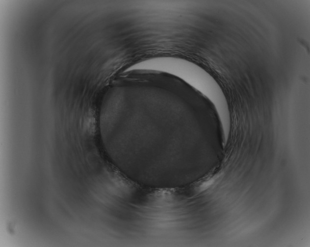 X0000091670080200709201227