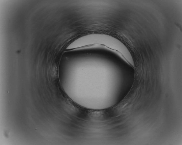 X0000091670081200709201227