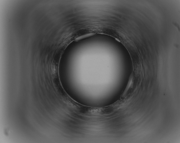 X0000091670084200709201227