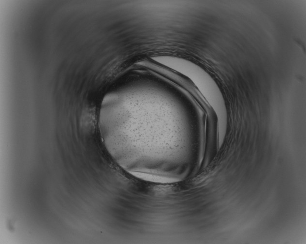 X0000091670085200709201227