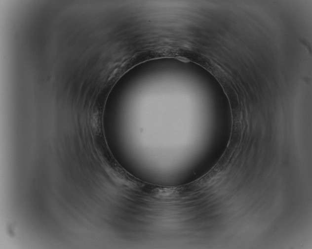 X0000091670088200709201227