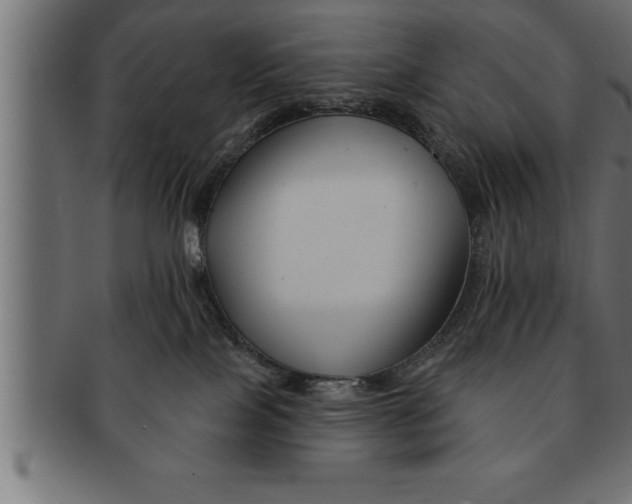 X0000091670089200709201228