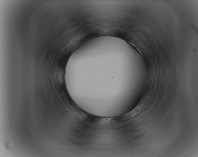 X0000091670090200709201228