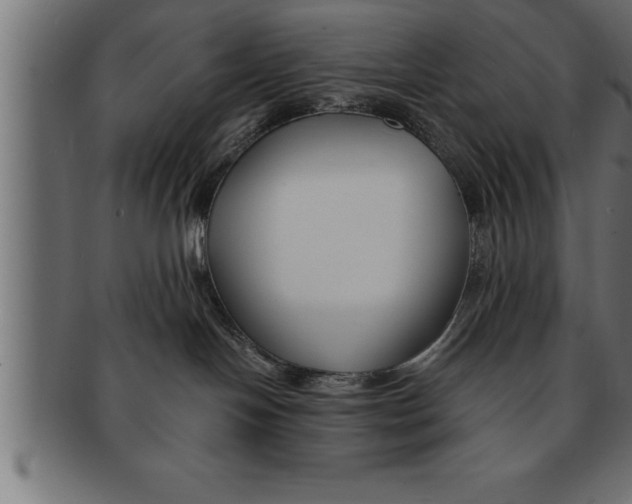 X0000091670094200709201228