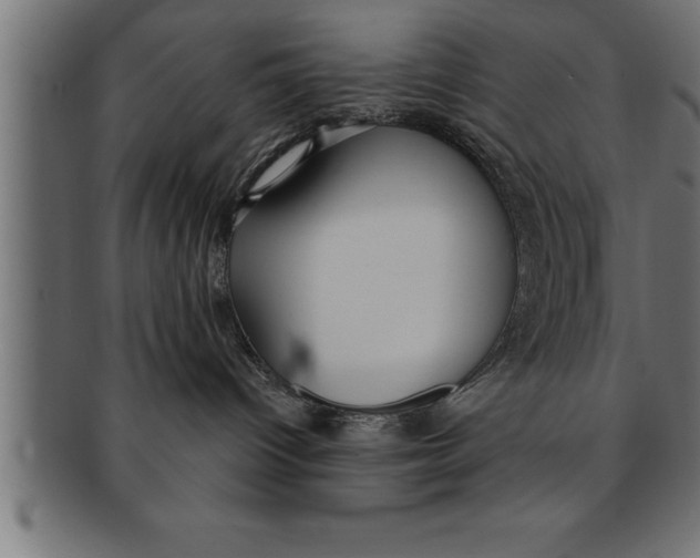 X0000091670096200709201228