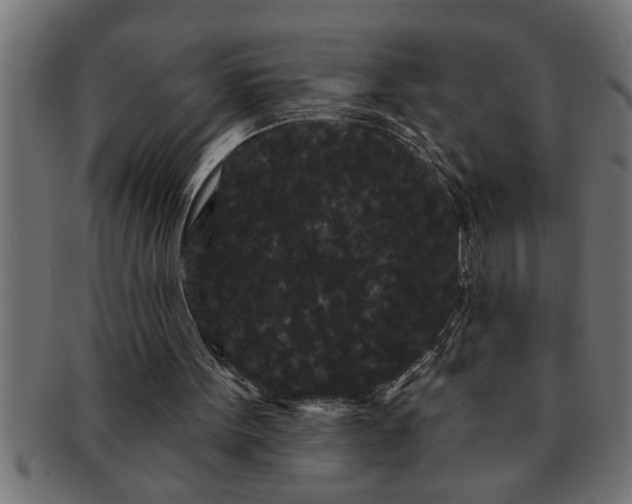 X0000091670099200709201227