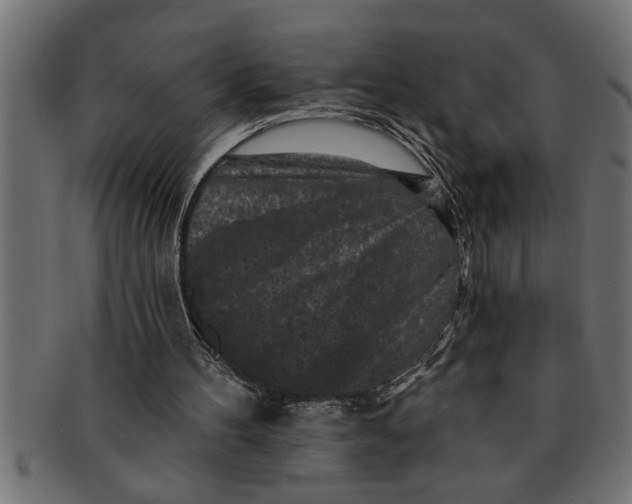 X0000091670100200709201227