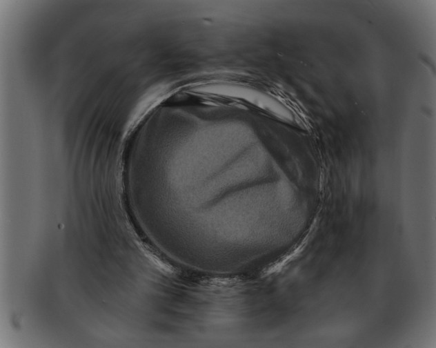 X0000091670101200709201227