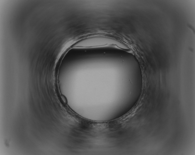 X0000091670102200709201227