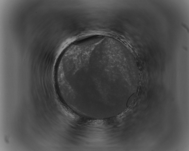 X0000091670104200709201227