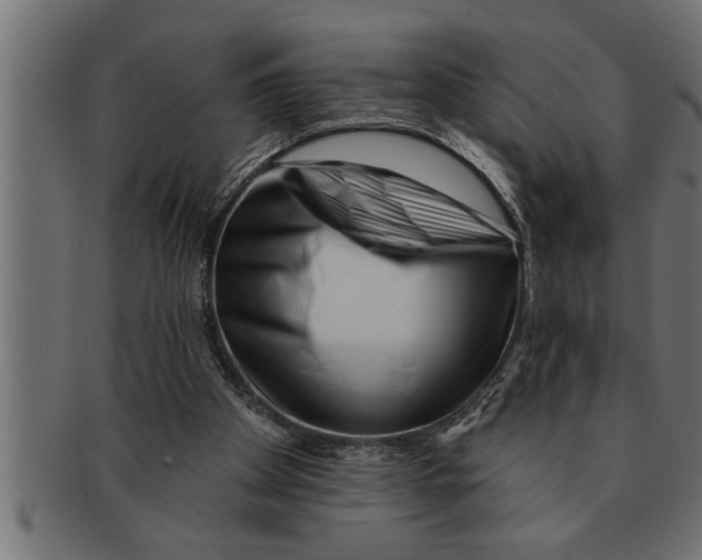 X0000091670105200709201227