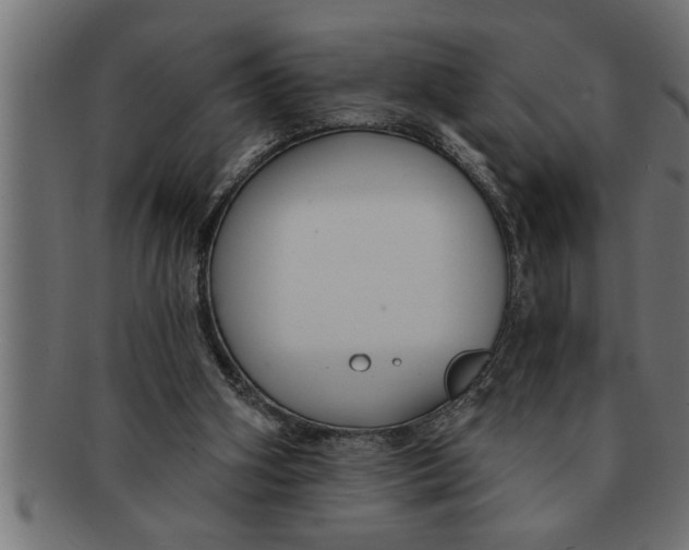 X0000091670106200709201227