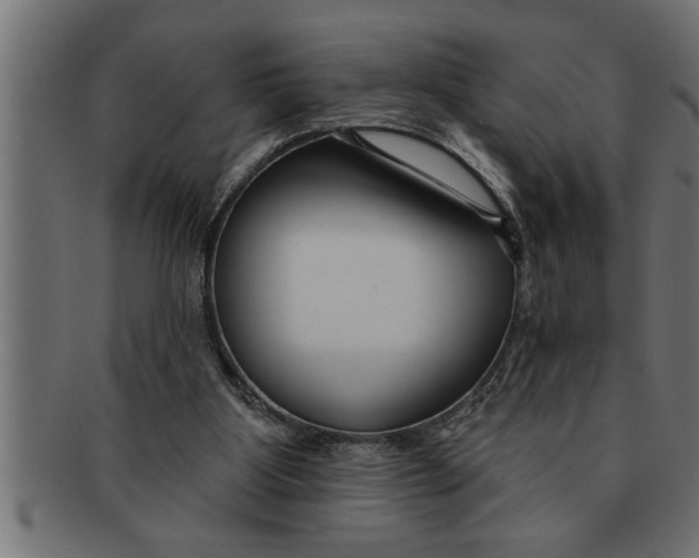 X0000091670107200709201227