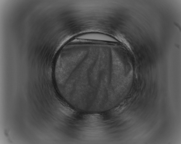 X0000091670108200709201227