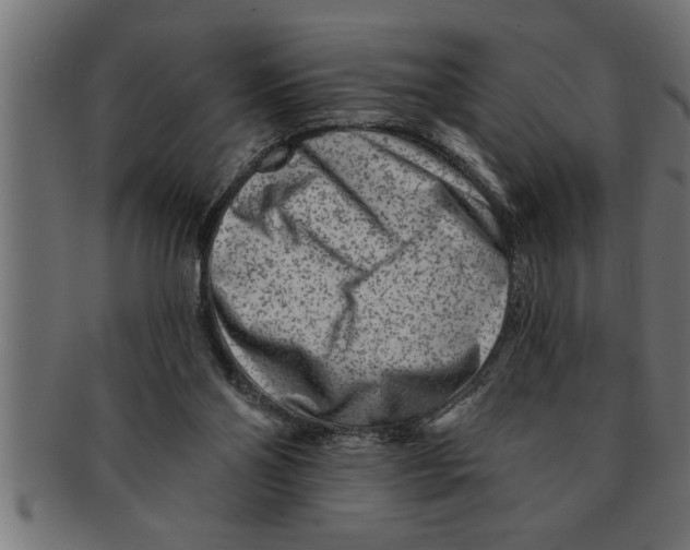 X0000091670110200709201227