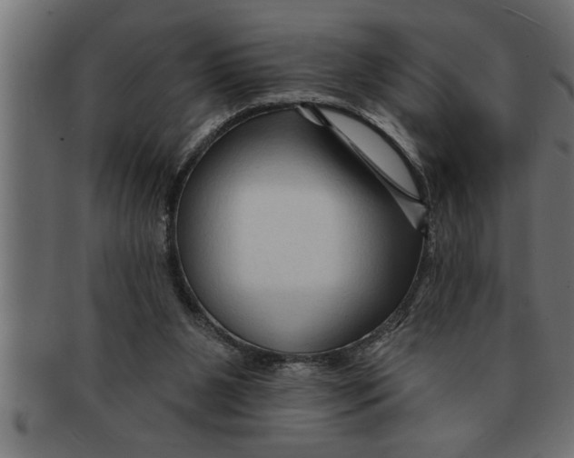 X0000091670111200709201227