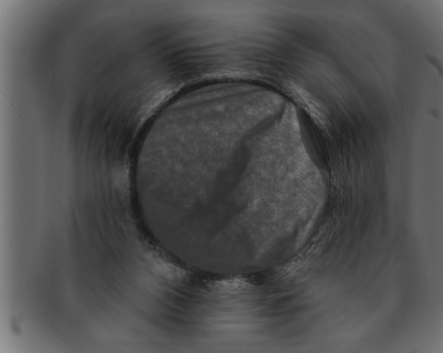 X0000091670112200709201227