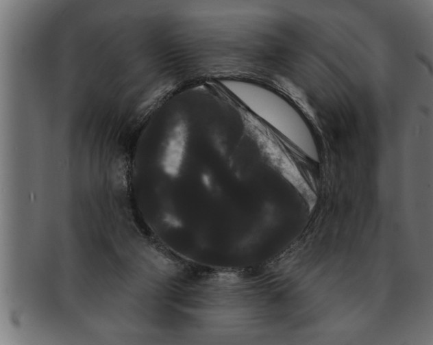 X0000091670114200709201227