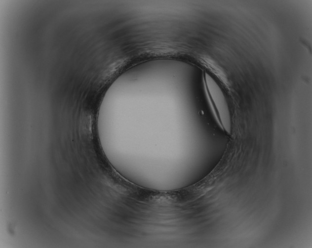 X0000091670115200709201227