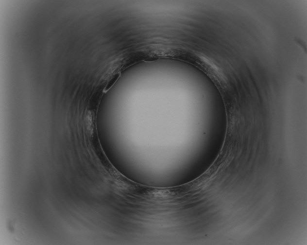 X0000091670121200709201227