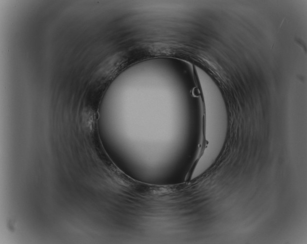 X0000091670125200709201227