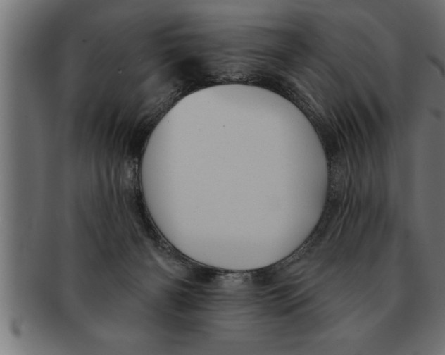 X0000091670126200709201227